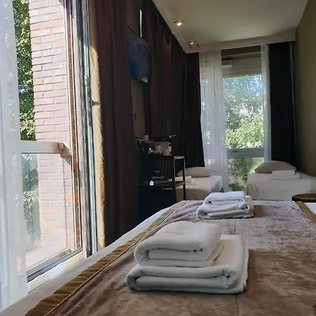 Mosaic Centre מלון 3*