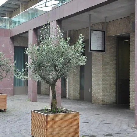 Mosaic Centre